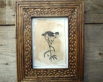 Dibujo a tinta y tinte de nuez, flor "Zanahoria Silvestre", obra original sobre papel hecho a mano, 10 x 15 cm, sin enmarcar.