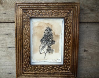 Ink and walnut ink drawing, 'Lilac' flower, original art on handmade paper 10 x 15 cm