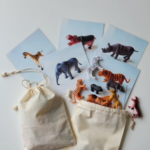 Cartes d'activités assorties - Lot de 9 - Animaux de safari - Jouet Montessori pour bébé et tout-petit