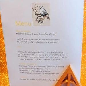 Può includere: Un'illustrazione di un gufo bianco con la parola "Hedwig" su uno stendardo. Un menu per un ricevimento di nozze con un elenco di opzioni di cibo in francese. Il menu include una scelta di antipasti, piatti principali e dessert.