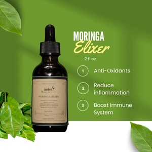 Moringa Herbal Tincture | Handcrafted Jamaican Wellness Elixir | 2 oz Dropper Bottle with Organic Cane Alcohol