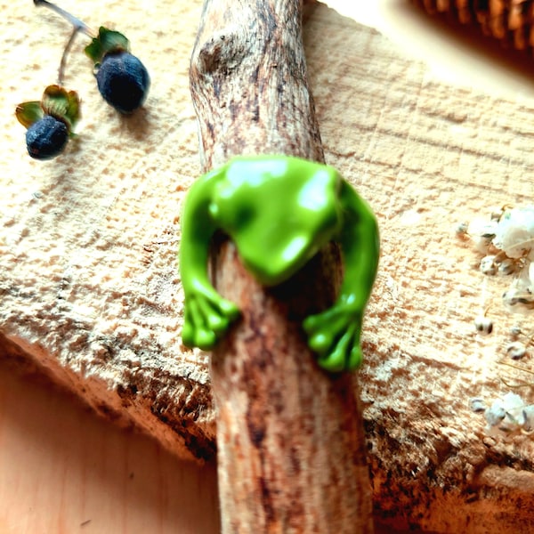 An unusual frog ring, a ring symbol of wealth, an interesting ring, a cool decoration for the mood