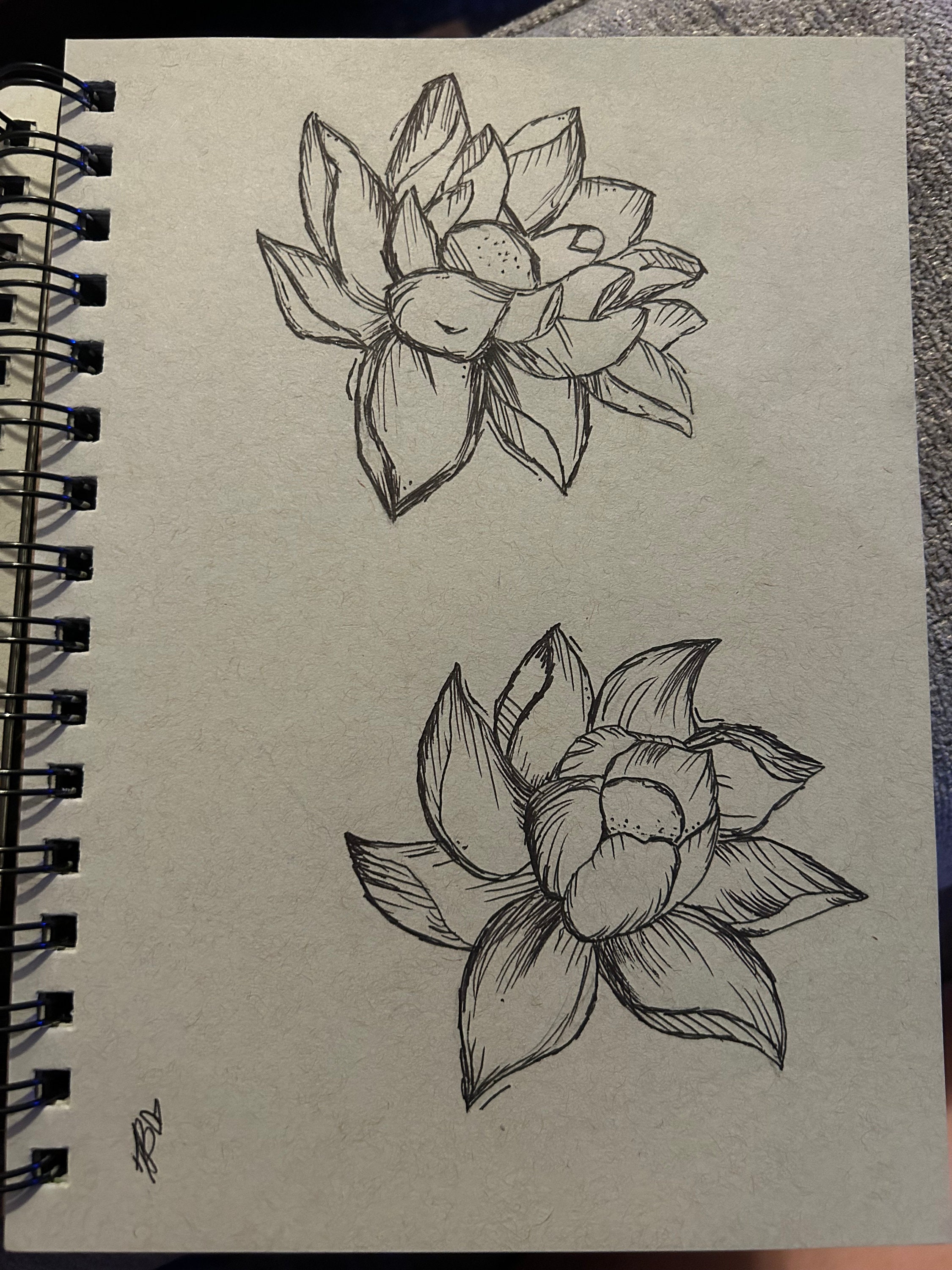 Lotus Flower Drawing lotus flower drawing Etsy