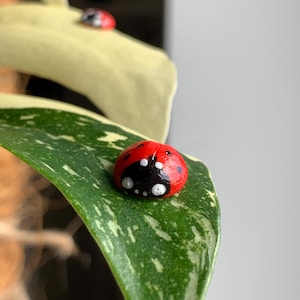 Ladybug magnet for plant decoration Handmade plant safe cute and special gift for plants lovers!!