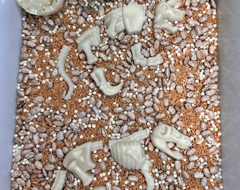 Dinosaur Fossil Bones Skeleton | Sensory Resin Loose Parts | Dinosaur Dig Sensory Play | Sensory Loose Parts | Skeleton Fossil Bones