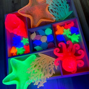 May include: A wooden tray filled with glowing, colorful sea-themed toys. The tray contains a starfish, coral, seashells, an octopus, and other marine life in shades of orange, green, blue, and pink. The toys are arranged in separate compartments.