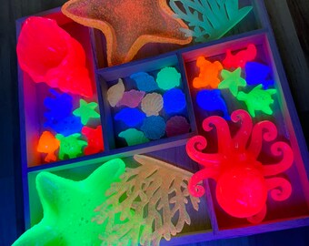Neon Glow Ocean Loose Parts | Rainbow Potion Play | Sensory Loose Parts Seashells Ocean Animals | Water Play | Dolphin Water Play
