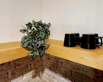Maple Floating Shelf: 3" Thick, Modern Home Decor