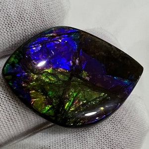 Ammolite Natural