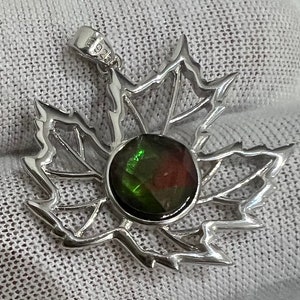 Ammolite Pendent