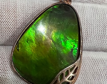 Ammolite Pendent