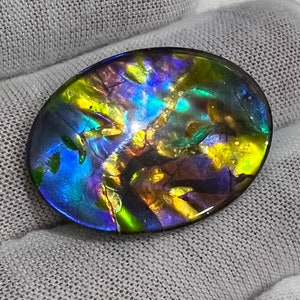 Ammolite Oval AAA Quality
