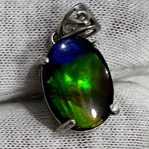 Ammolite Pendent