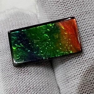Ammolite Rectangle Shape