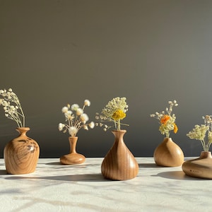 set of 5 unique handcrafted wooden vase, handmade elmwood flower pot centerpiece, abstract form  art, hand-carved solid wood boho mini vase