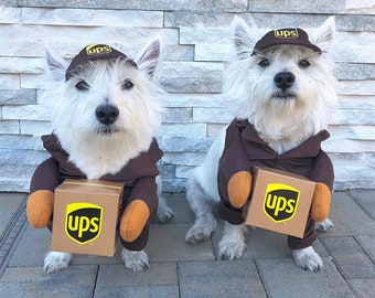 Costume de courrier pour animaux de compagnie habiller tenue debout chien chat vêtements de cosplay drôles pour Halloween noël