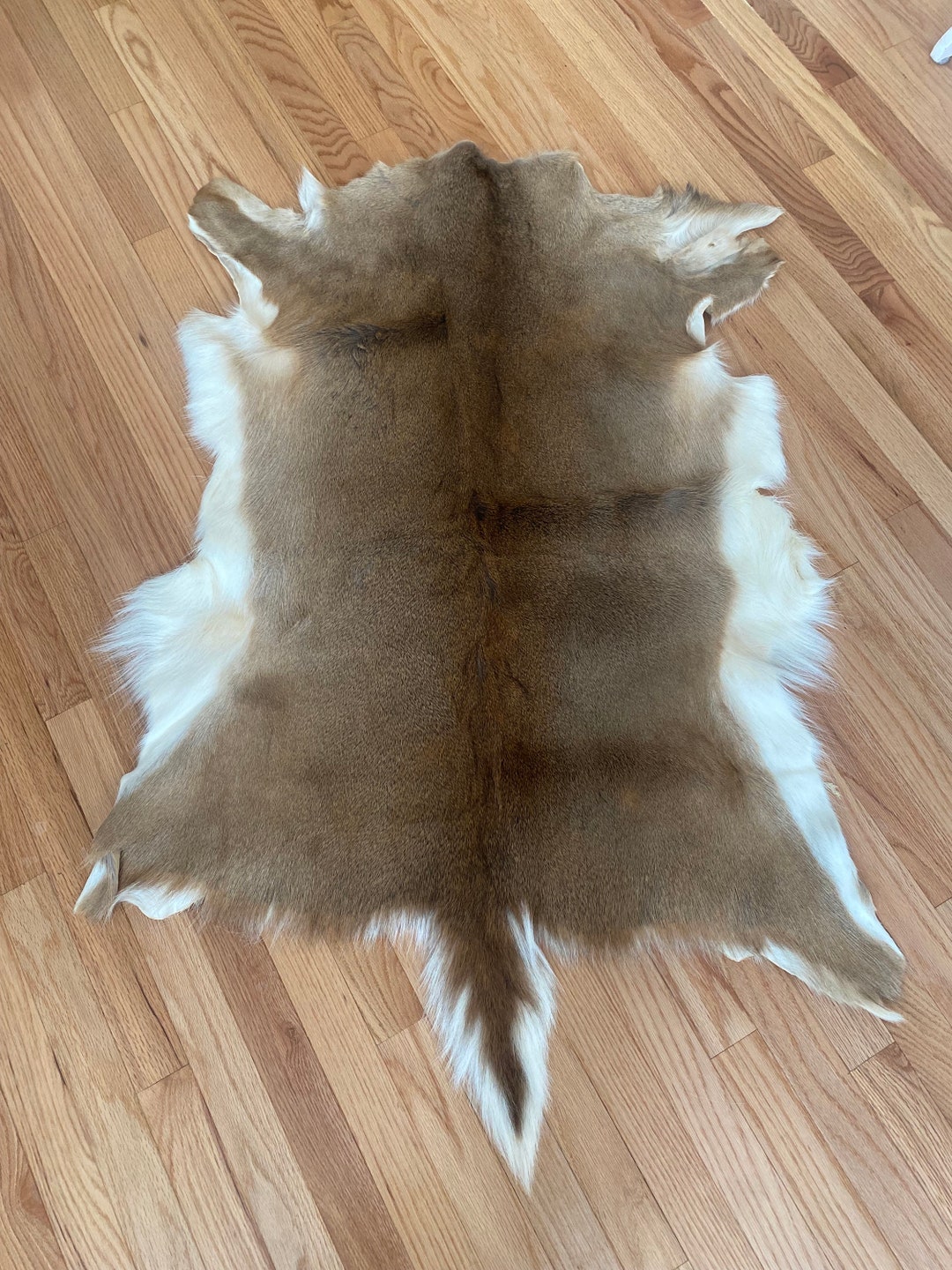 Whitetail Deer Hide Etsy