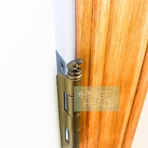 May include: A decorative brass hinge with a frog figurine on top. The hinge is mounted on a white door frame next to a wooden door. The text "HINGE HEAD co." is visible on the door.