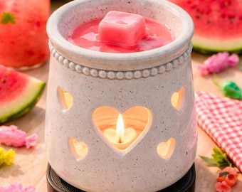 Pink Sands Scented Soy Wax Melts-for wax warmers-home fragrance-gift idea