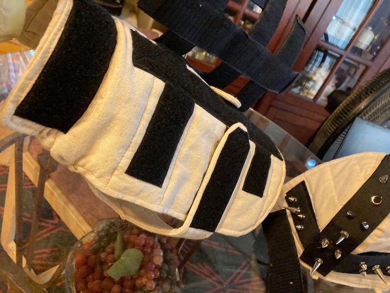 Dog, Puppy, Predator Protection, Water Resistant, Quilted, Spiked