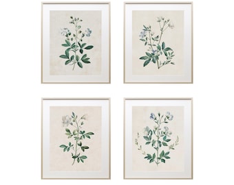 May include: Set of four framed botanical prints featuring delicate white and blue flowers with green leaves on a cream background.