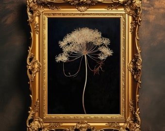May include: A dried flower, resembling a dandelion, is displayed in a gold ornate frame against a dark brown background.