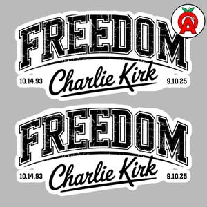 Political Commentary Vinyl Sticker, Free Speech Patriotic Decal, Laptop Car Kiss Cut Design, Bold Statement