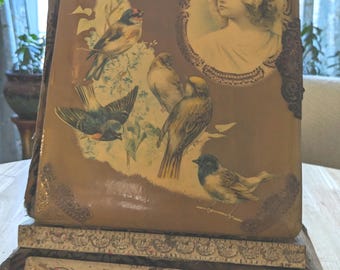 Celluloid Victorian photo album