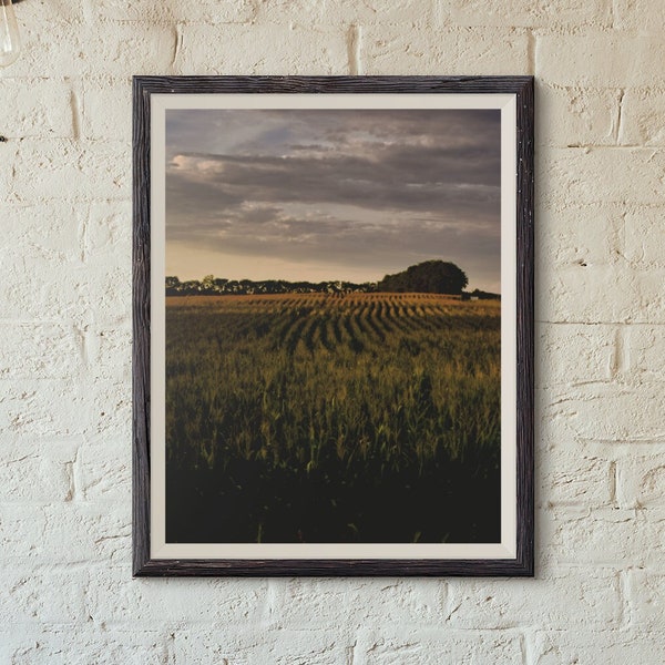 Summer corn field on a hazy night, digital print, wall art, art for living room, art for dining room