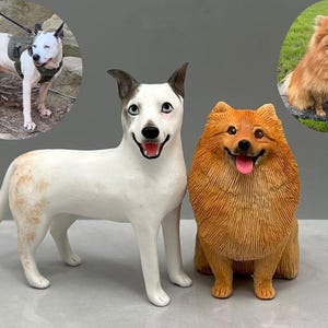 Personalized custom pets Pets wedding cake topper, Dog cake topper, Wedding cake topper , Pets birthday ,wedding cake topper with dog
