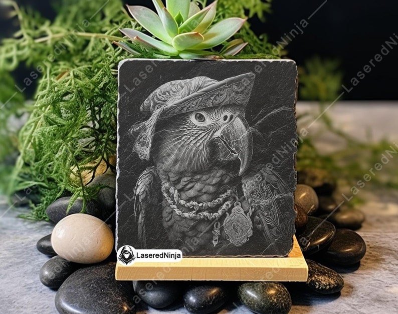 Pirate Parrot Art Buccaneer Bird PNG Black White Avian Design Captain ...