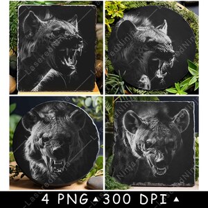 Hiena enojada gruñendo, perro salvaje africano, bestia, animal, caza, archivo láser, posavasos, quemar, escala de grises, pizarra, imagen PNG, grabar, blanco y negro, grabado, CO2, CNC