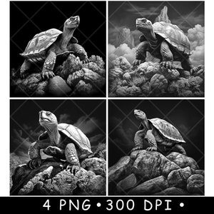 Tortue tortue des Galapagos Sulcata d'Aldabra Spurred Land fichier laser sous-bock graver en niveaux de gris ardoise Image PNG graver noir blanc gravure CO2 Cnc