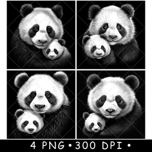 May include: Black and white illustrations of panda bears. Each image shows a panda bear with a cub. The images are in a square format, with a black background. The text "4 PNG • 300 DPI •" is at the bottom.
