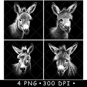 Âne bébé mule burro cul Esel Mini cheval animaux de la ferme fichier laser sous-verre graver en niveaux de gris ardoise image PNG graver noir blanc gravure CO2 Cnc