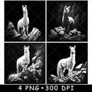 Lama camélidé ferme polaire laine duveteuse alpaga animal solitaire fichier laser sous-bock gravure en niveaux de gris ardoise image PNG gravure noir blanc gravure CO2 Cnc