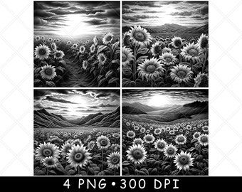 Sunflower Bloom Floral Daisy Garden Field Scene Laser PNG Slate Coaster Etch Wood burn Black White Cnc,Glowforge,LightBurn,CO2 Diode,xtool