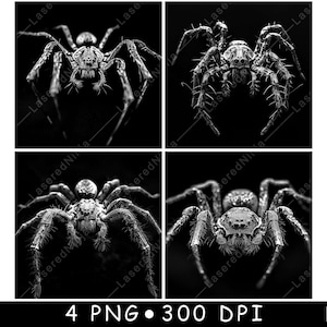 May include: A black and white close-up photograph of a spider with hairy legs and a prominent set of eyes.