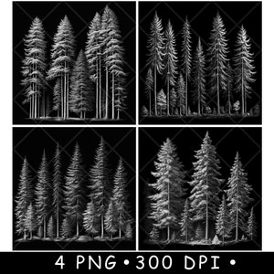 Grands pins à feuilles persistantes hiver forêt bois paysage fichier laser sous-bock graver en niveaux de gris ardoise image PNG graver noir blanc gravure CO2 Cnc