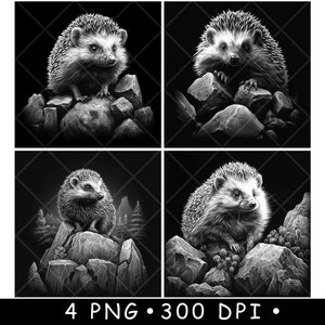 Egel stekelig stekelig egel varken klein zoogdier dieren in het wild laserbestand onderzetter branden grijstinten leisteen PNG-afbeelding graveren zwart wit etsen CO2 CNC