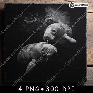 Manatee Zeekoe Zeeleven Waterdier Paar Rivier Laserbestand Onderzetter Branden Grijswaarden leisteen PNG-afbeelding Graveren Zwart Wit Etsen CO2 Cnc