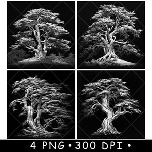 Monterey Cypress Cedar Tree Grove Point Wood Evergreen Laser File Coaster Burn Grayscale Slate PNG Image Incisione Nero Bianco Incisione CO2 CNC