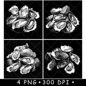 May include: Four black and white images of a pile of oysters. The oysters are arranged in a cluster, with some open and some closed.
