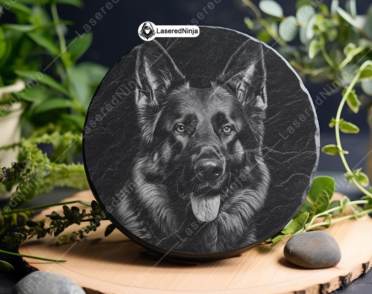 Der Deutsche Schäferhund; SC-Aktuell, image size:1205x952