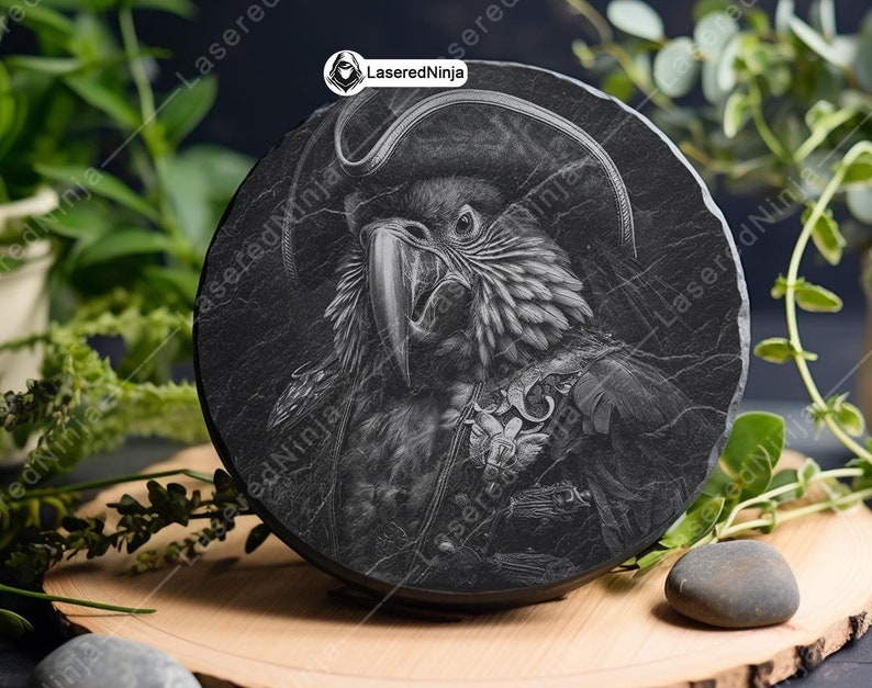 Pirate Parrot Art Buccaneer Bird PNG Black White Avian Design Captain ...