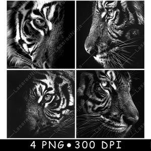 May include: A black and white close-up image of a tiger's face. The tiger's stripes are visible and the image is focused on the tiger's eye.