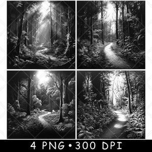 Wald Wald Wildnis Bauholz Landweg Weg Spur Szene Laser PNG Schiefer Untersetzer Etch Holz brennen Cnc, Glowforge, LightBurn, CO2 Dioden, xtool,xtool