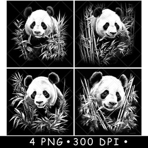 Panda, Árvore de Bambu, Urso Gigante, China, Animais Selvagens Ameaçados de Extinção, Arquivo a Laser, Montanha-russa, Queimadura, Tons de Cinza, Ardósia, Imagem PNG, Gravar, Preto, Branco, Gravar, CO2, CNC