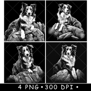 Bordercollie schapen hoeden hond herder huisdier schapen boer laserbestand onderzetter branden grijswaarden leisteen png-afbeelding graveren zwart wit etsen CO2 cnc