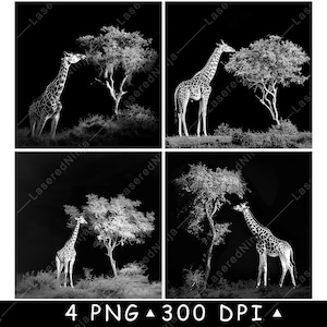 Giraffa Collo Lungo Animale Savana Albero Alimentazione Zoo Scena Laser File Sottobicchiere Brucia Scala di Grigi Ardesia PNG Immagine Incidere Nero Bianco Incisione CO2 Cnc